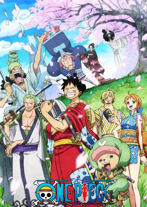 One Piece (海贼王) 
