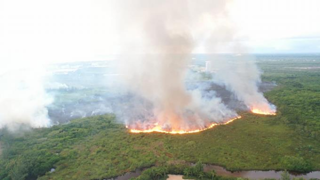 Medio Ambiente moviliza bomberos forestales por incendio en Loma Miranda