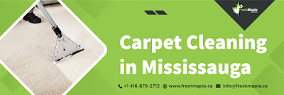 Carpet%20Cleaning%20in%20Mississauga%203.jpg
