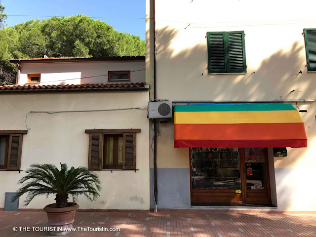 Potted palm tree next to the door of a shop with a sunshade in rainbow colours above the entrance.