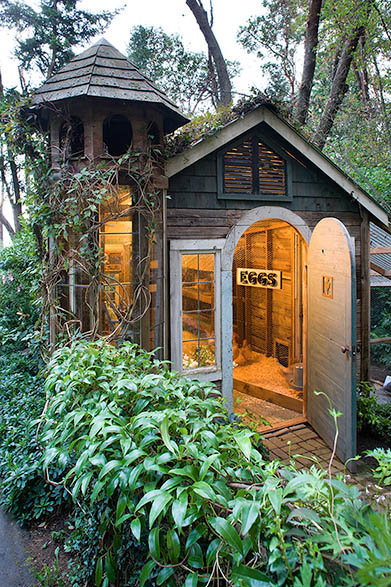 old garden sheds design