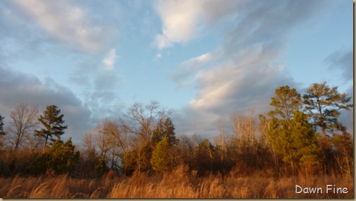 evening light in carthage_001