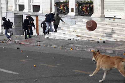 The Return of the Riot Dog Seen On www.coolpicturegallery.us