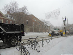 Quitanieves por Massachusetts Ave. en la Zona de Harvard Square, Cambridge durante la Tormenta Greyson