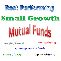 Top Performer Small Growth Stock Mutual Funds 