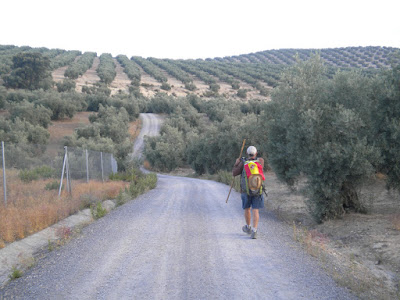 Cercanías de Encinas Reales