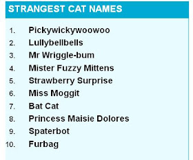 nama-nama kucing paling aneh di Inggris