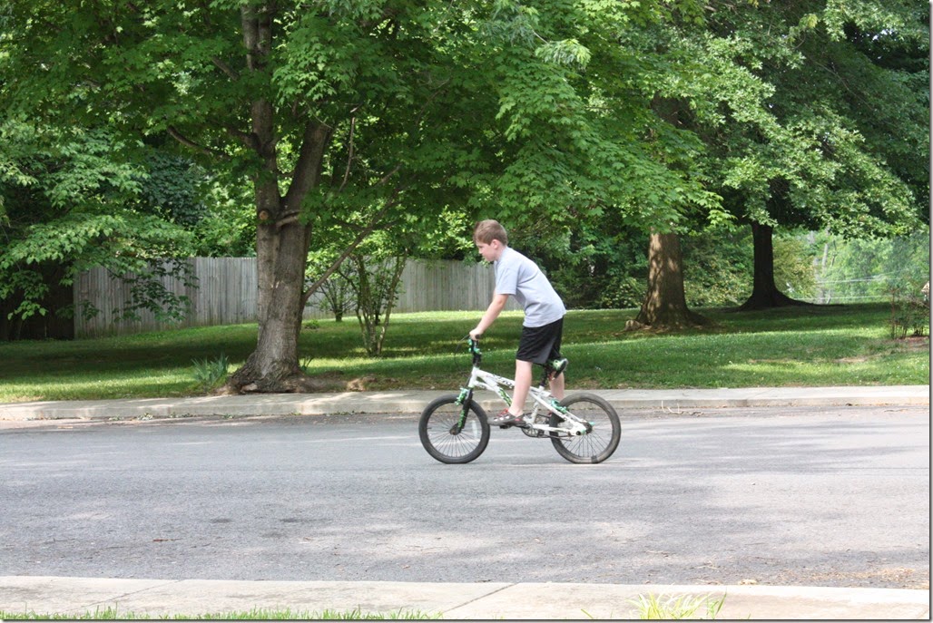 IMG_3966 IMG_3966