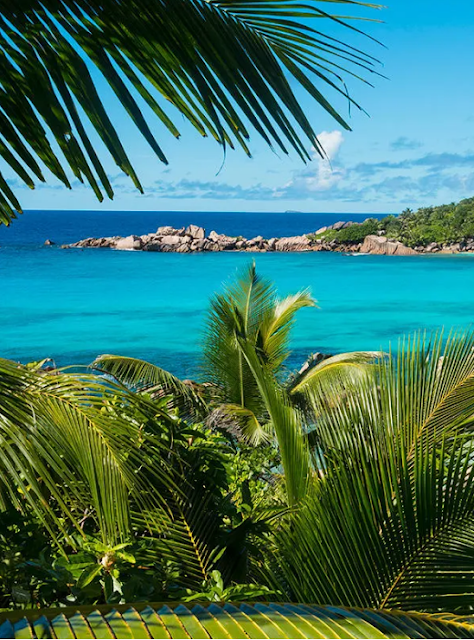 Digue Island, the Seychelles photo #3