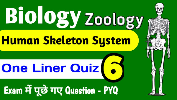 Human Skeleton System मानव कंकाल तंत्र One Liner Questions Complete