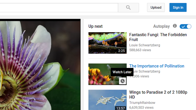 Screenshot of YouTube Video Web Page