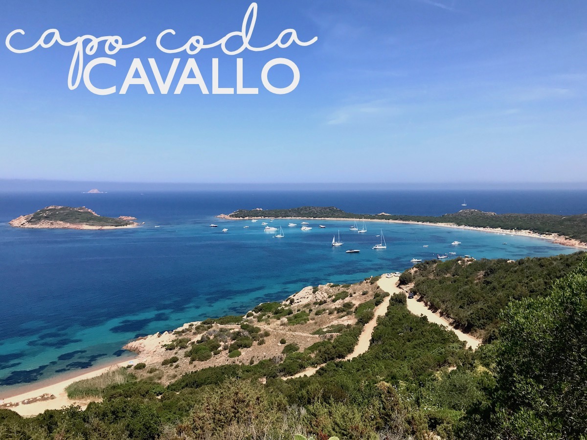 Sardinia Best Beaches Die schönsten Strände Sardiniens auf: http://www.theblondelion.com/2017/08/schoenste-straende-sardiniens.html Tipps Reiseblog Travel Diary Reiseführer Reisetipps Capo Coda Cavallo