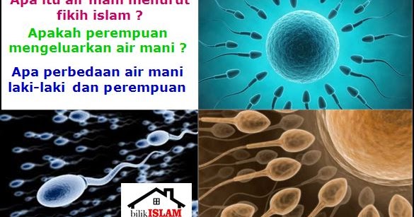 Pengertian Air Mani Bagi Perempuan Menurut Fikih Islam 