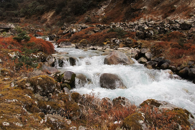 Kockchurang Goecha La Trek Sikkim India