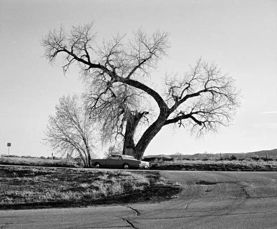 Vanessa Winship, She dances on Jackson, 2011-2012 