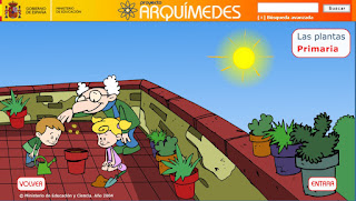 http://capitaneducacion.blogspot.com.es/2017/11/3-primaria-ciencias-de-la-naturaleza_56.html