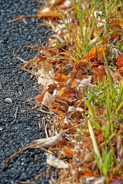 Autumn Colors (@Kaimaktsalan) - Χρώματα Φθινόπωρου (Καϊμακτσαλάν)