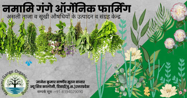 शुगर, डायविटीज या मधुमेह अब होंगे बिल्कुल क्योर जानिये यह फार्मूला Sugar, Diabetes Or Madhumeha Cure Formula in Hindi