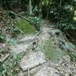 View album