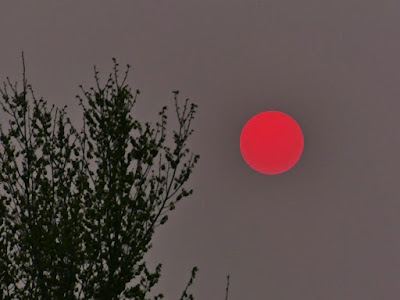 Rote Sonne - Aufnahme ohne Filter