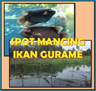 Spot Mancing Liar Ikan Gurame