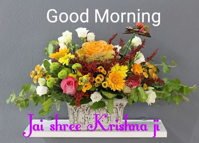 Good Morning Jai Shri Krishna