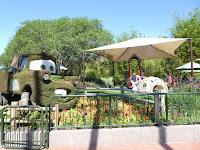 cars catus road rally play area at epcot