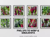 4 Cara Lengkap Merubah Gambar JPG PNG ke WEBP dan Sebaliknya