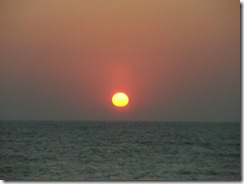 DSCF0410