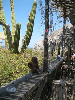 Cabo San Lucas 2 053