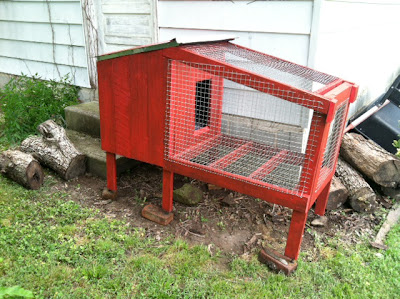 rabbit hutch is complete, front / side view