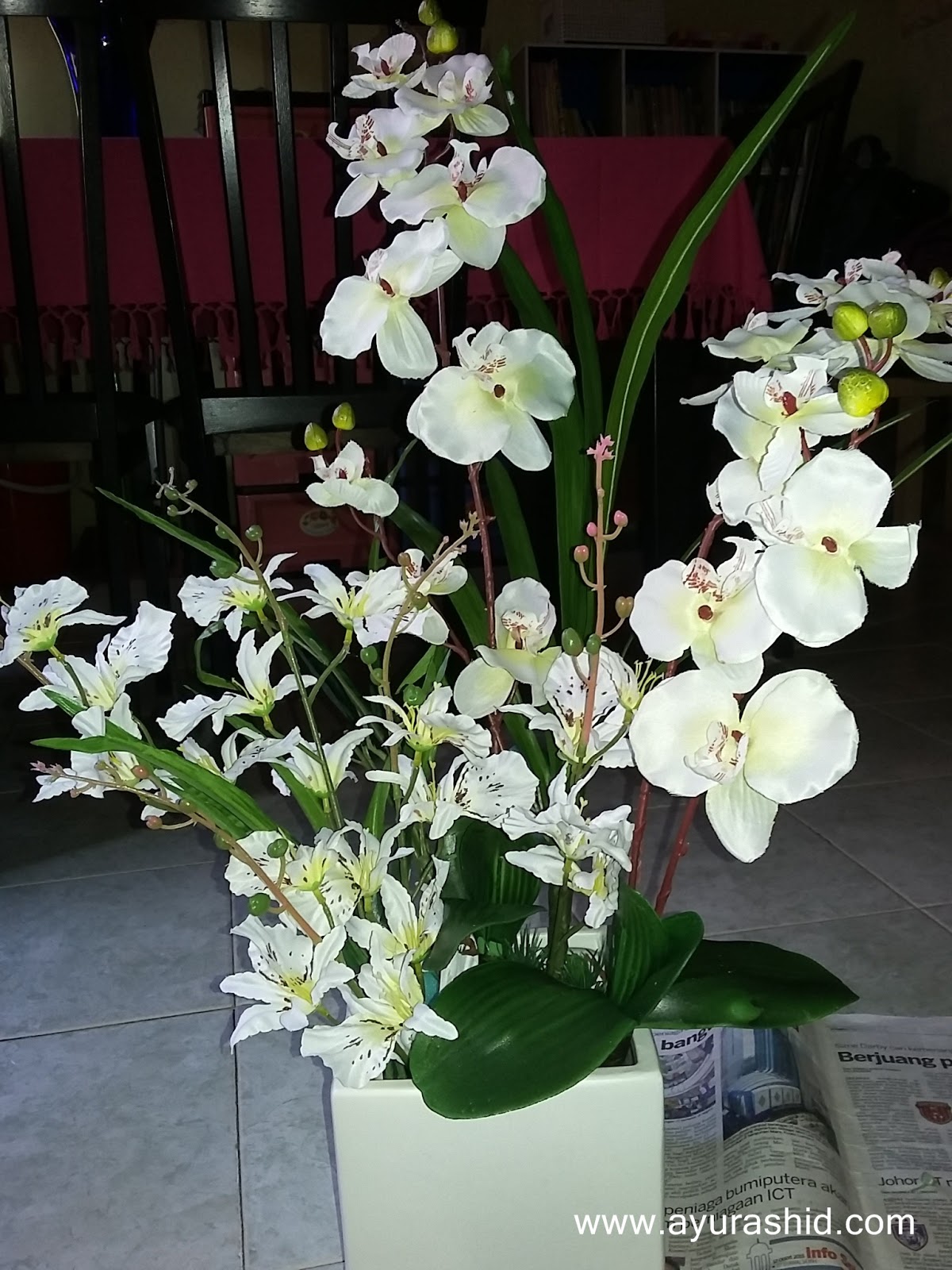 Pasu Bunga Orkid Berbagai Bekalan Rumah