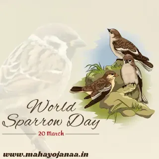 World Sparrow Day