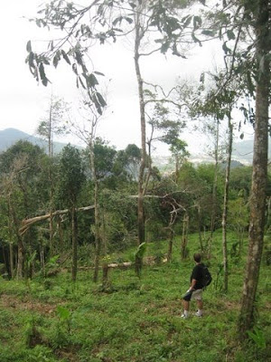 That's me, near the top of Phuket