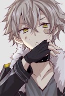 Kaito dz