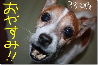 今日カズ１００１１６　７