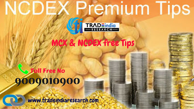 NCDEX Free Tips