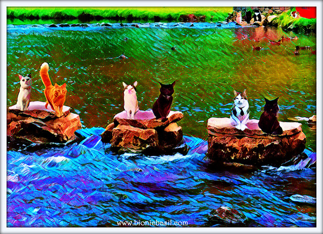 The B Team's Dovedale Stepping Stones Selfie ©BionicBasil® Caturday Art Blog Hop