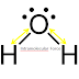 What are Intramolecular Forces?