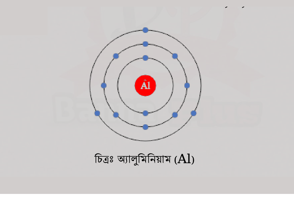 12th Week Class 8 Assignment 2021