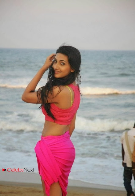 Actress Neelam Upadhyay  Wet Picture Gallery in Pink Bikini Top 0042.jpg