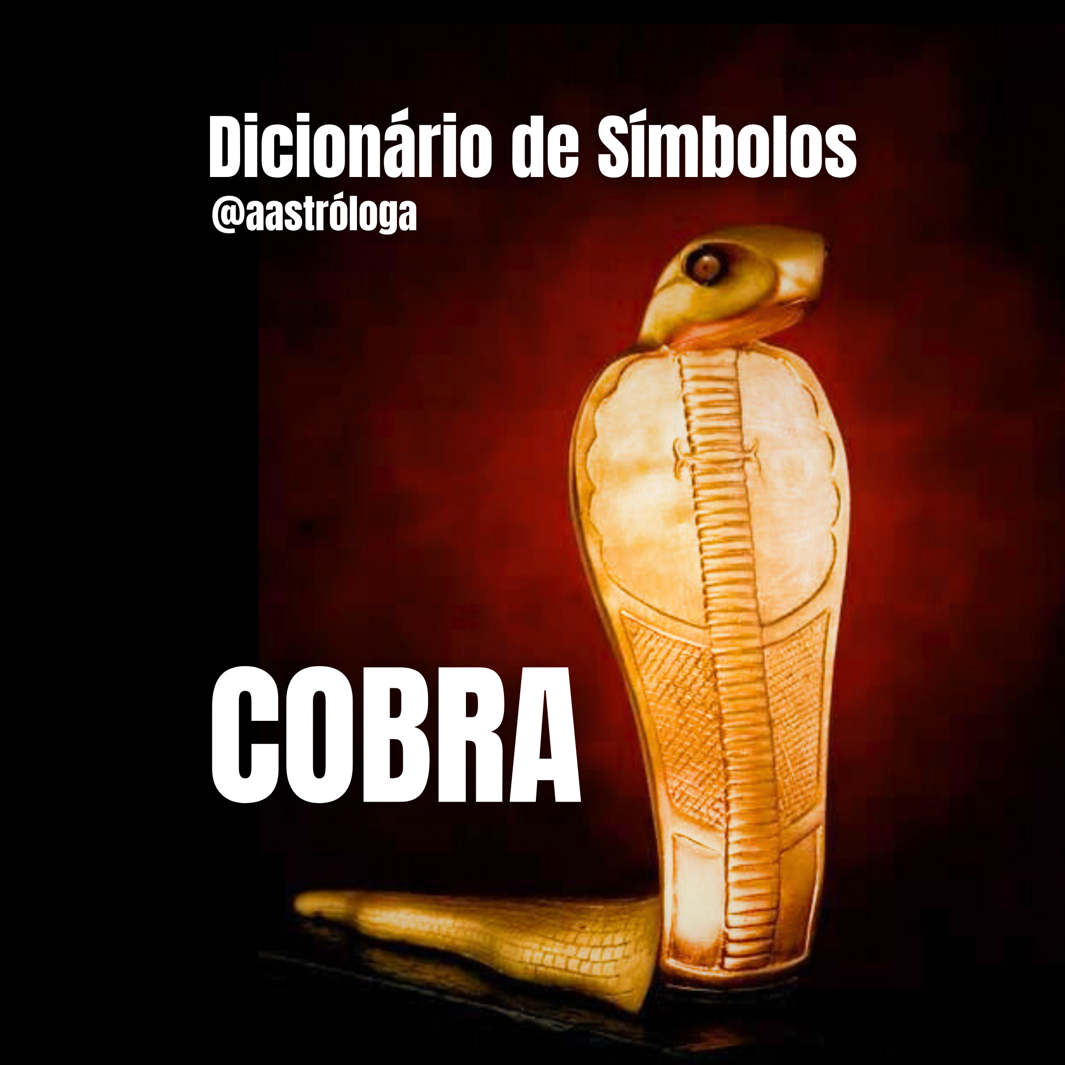 ▷ Sonhar Com Cobra Significa Traição? DESCUBRA AQUI!