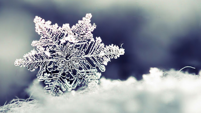 Best Winter Snowflakes HD Wallpaper