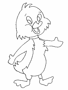 duck5