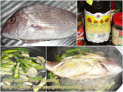 Steamed Fish Steamed Maya Maya