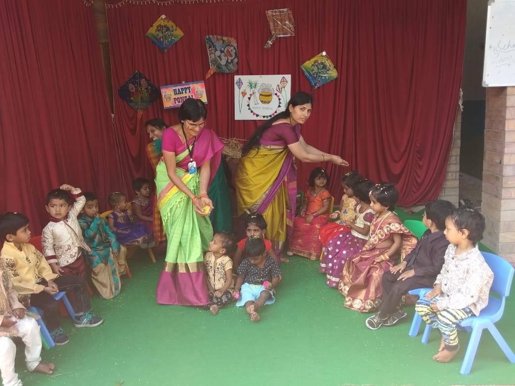 Pongal Celebrations