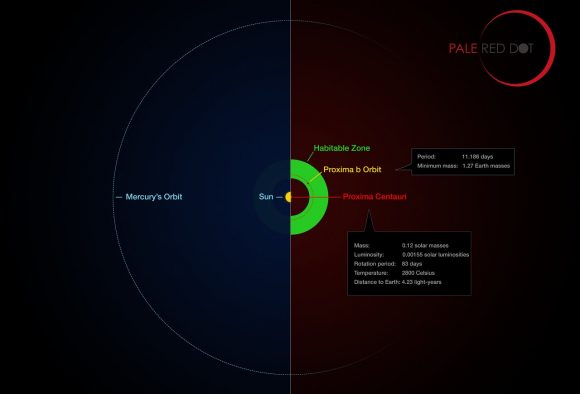 diagram-perbandingan-proxima-centauri-dengan-tata-surya-informasi-astronomi