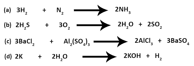 Chemical Equations Class 10 Science Ch 1 Chemistry CBSE