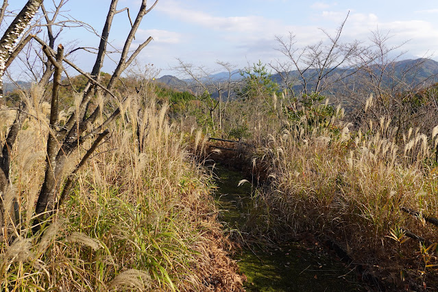 鳥取県西伯郡南部町上中谷 緑水湖展望広場からの眺望