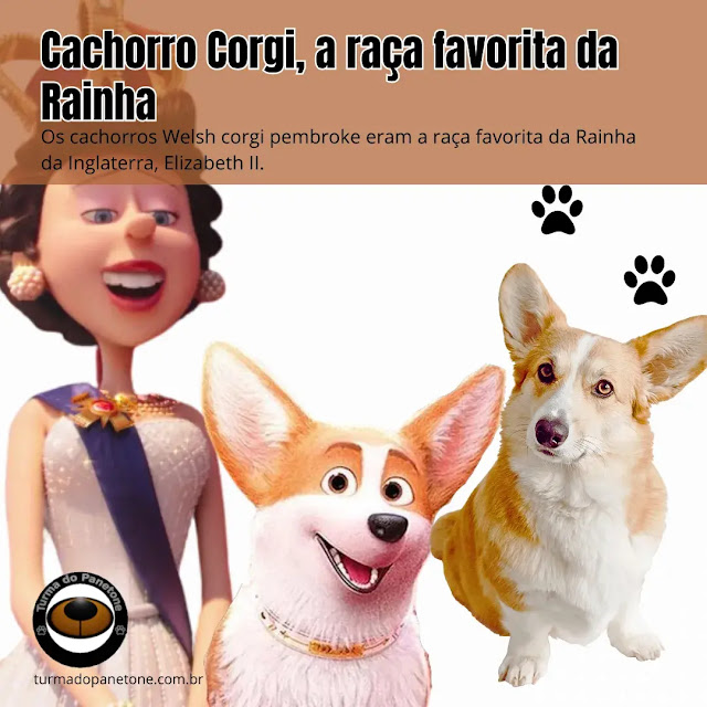 Cachorro Corgi, a raça favorita da Rainha